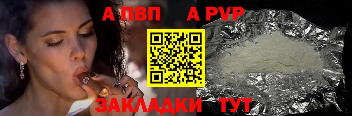 Alfa_PVP СК Пятигорск
