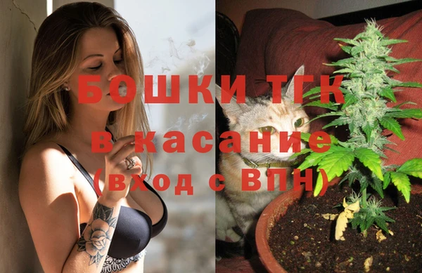 твердый Аркадак