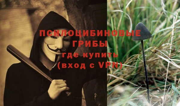 твердый Аркадак