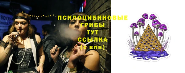 твердый Аркадак