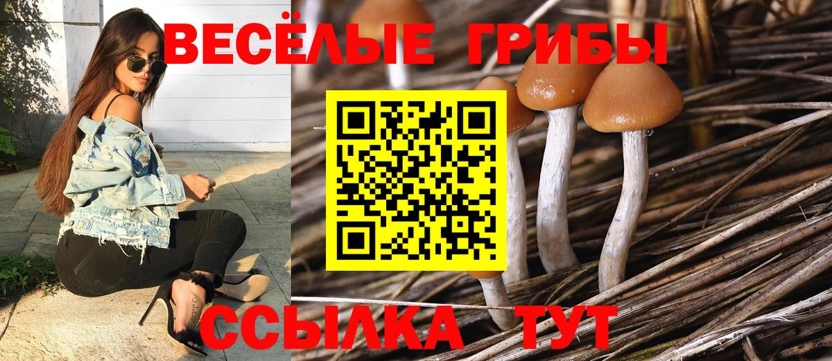 Галлюциногенные грибы мухоморы Пятигорск