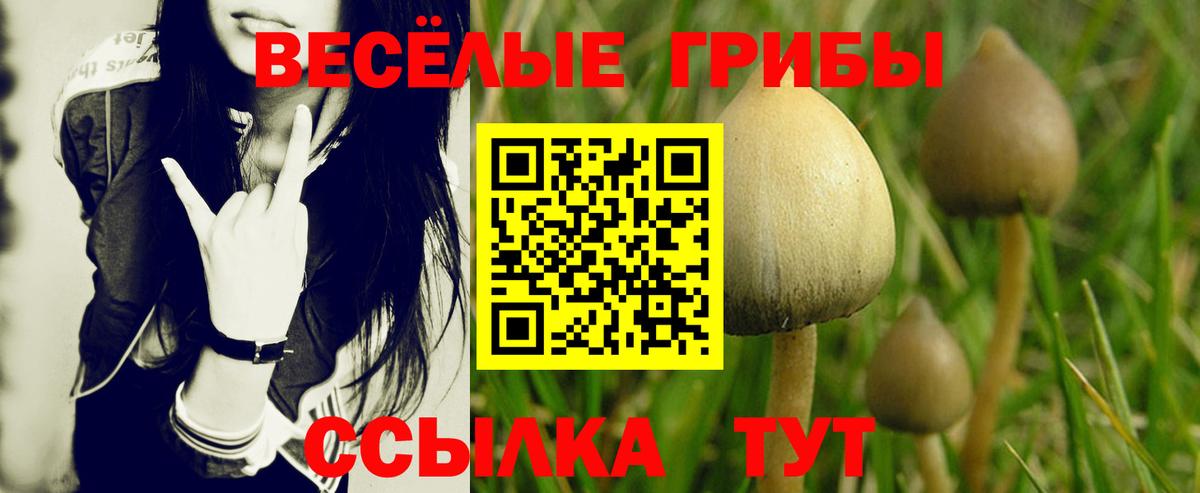 Псилоцибиновые грибы Magic Shrooms  Вход с VPN  Псилоцибиновые грибы мицелий  Пятигорск 